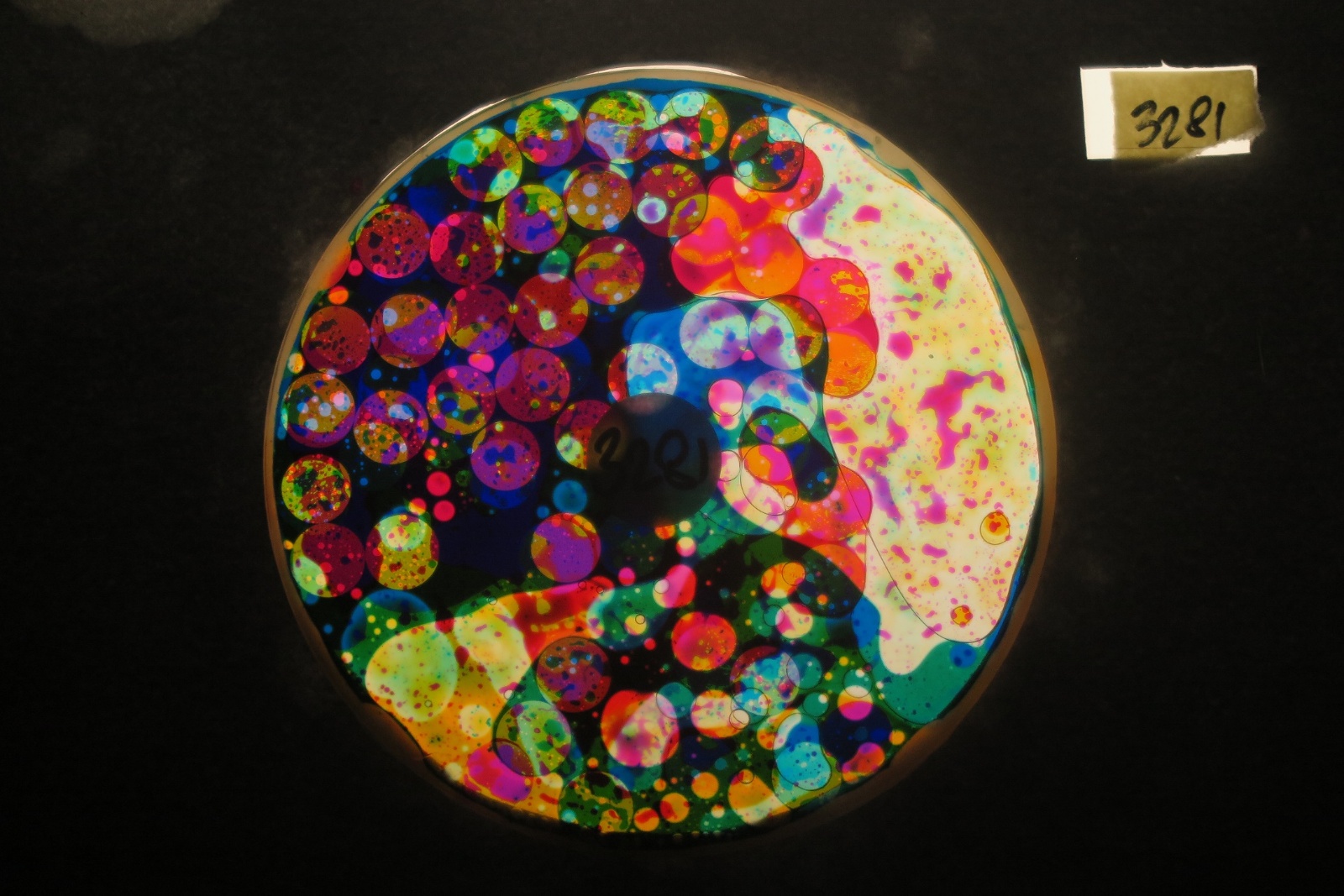 BV3281 bubble vision oil wheel